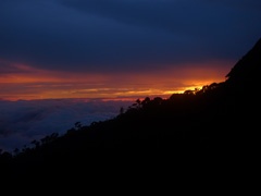 P1070631a.jpg